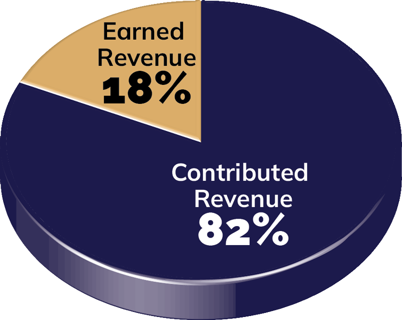 Graph of C4C Revenue